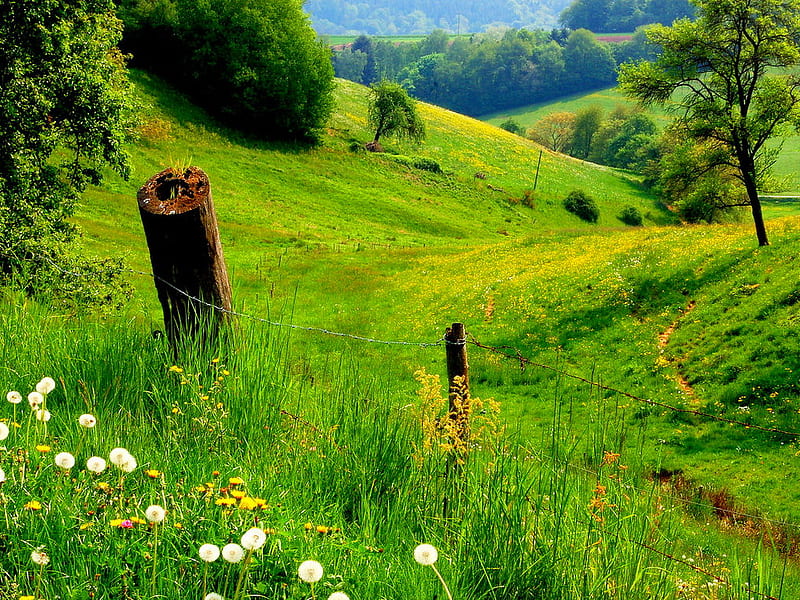 Descarga gratis | Naturaleza verde, vista, pasto, montaña, verde ...