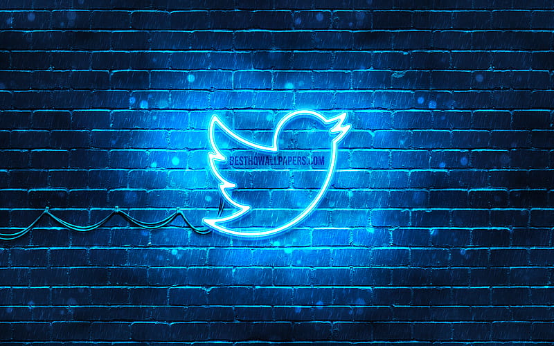 Twitter blue logo blue brickwall, Twitter logo, brands, Twitter neon logo, Twitter, HD wallpaper