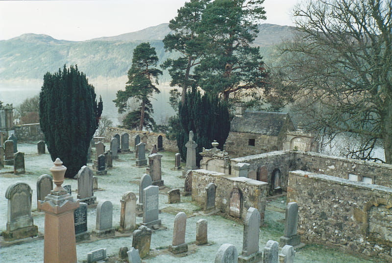 Boleskine Graveyard, boleskine, yews, graveyard, loch ness, frost, HD wallpaper