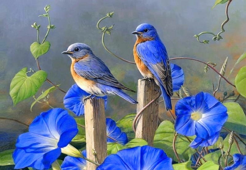 Morning Glories, love four seasons, birds, spring, paintings, summer, flowers, nature, animals, blue, HD wallpaper