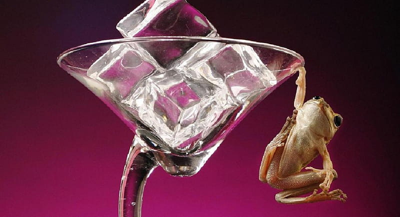 Just one, ice cubes, little, brown, hanging frog, glass, cool, green, purple, ice, funny, animals, HD wallpaper