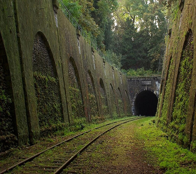 Old Train Tunnel, landscape, HD wallpaper