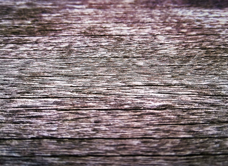 wood, dry, texture, HD wallpaper