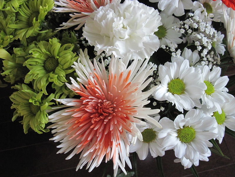 Bouquet of flowers 60, green, flowers, graphy, white, daisy, HD