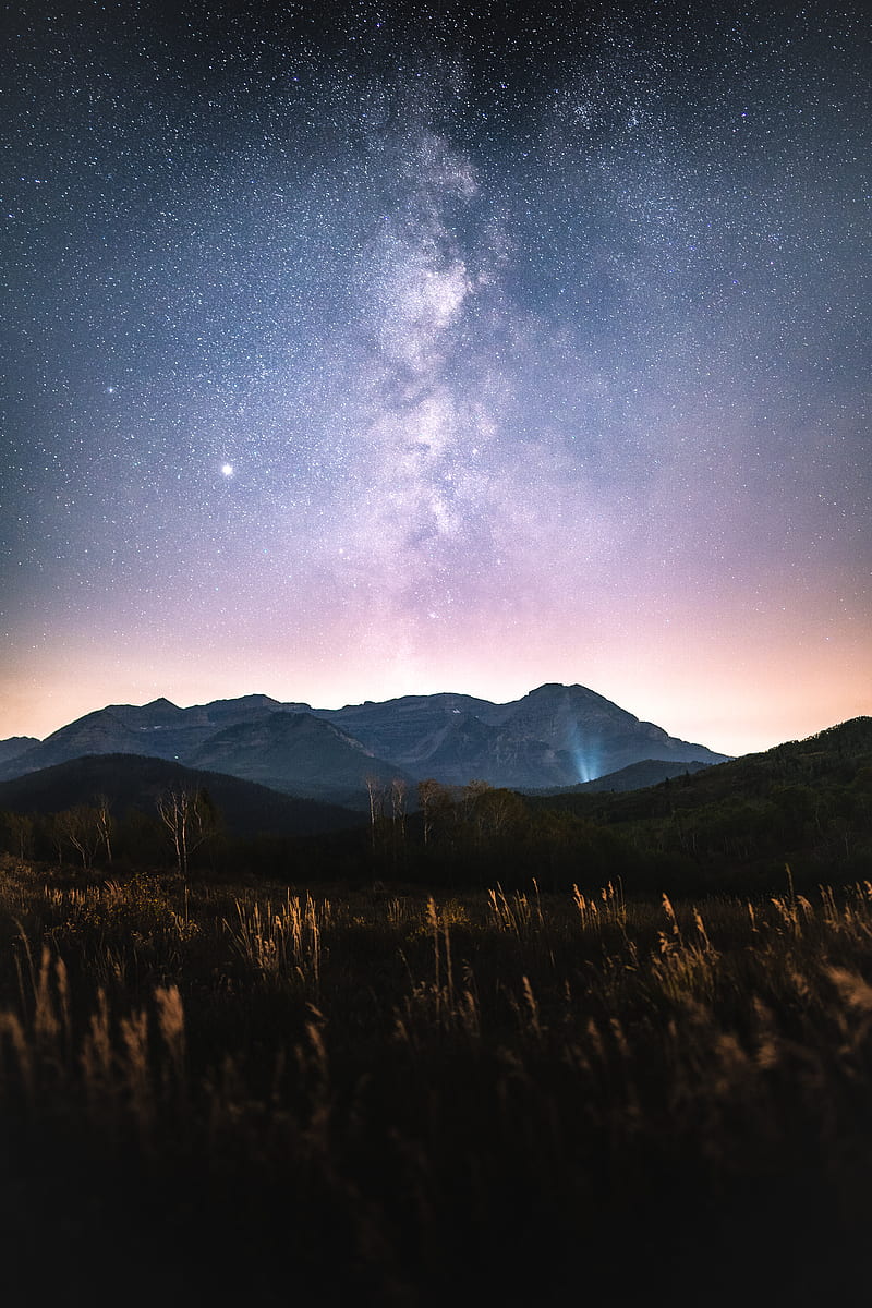 green grass field near mountain under starry night, HD phone wallpaper