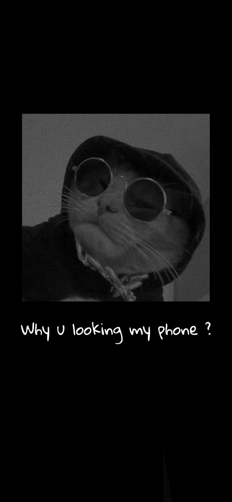 Cat lock screen, black, cute, cute cat, funny, lock screen, mem, supereme,  HD phone wallpaper | Peakpx