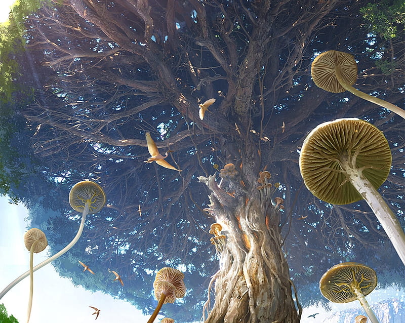 Under the big tree, avant choi, forest, tree, fantasy, luminos, mushroom, worlde, HD wallpaper