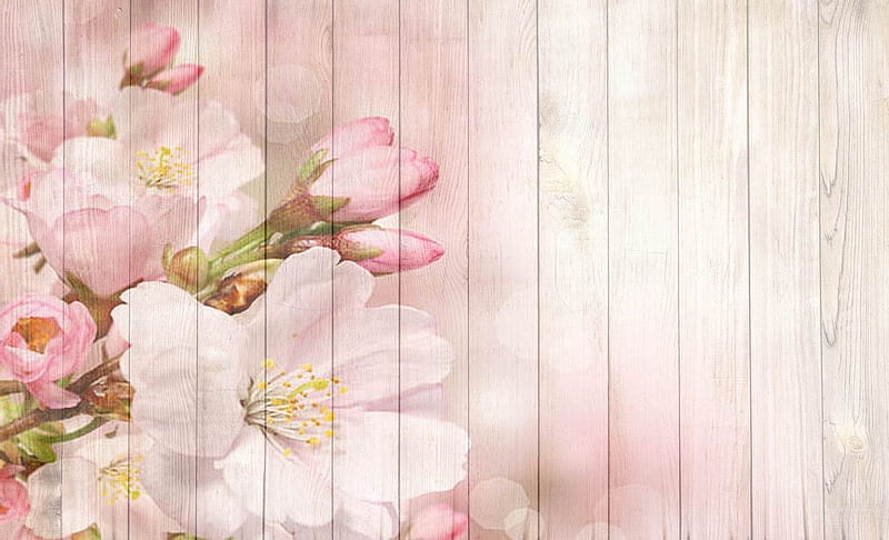 Acuarela sobre madera, rosa, bonito, madera, pintura, flores, naturaleza,  Fondo de pantalla HD | Peakpx