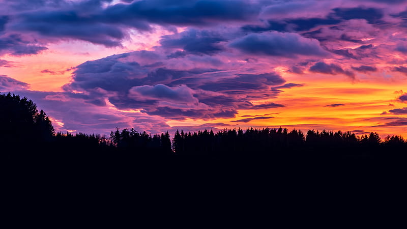 Sunset Clouds Forest , sunset, clouds, nature, HD wallpaper