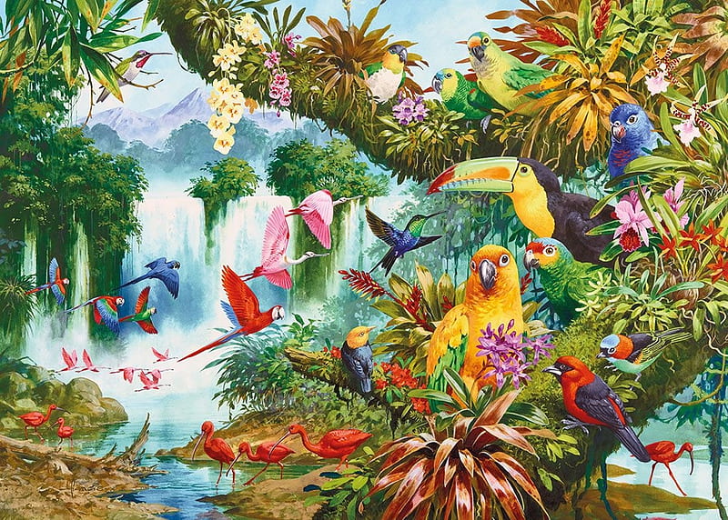 Exotic birds, papagal, waterfall, pasari, jungle, toucan, parrot, colorful, art, vara, bird, summer, HD wallpaper