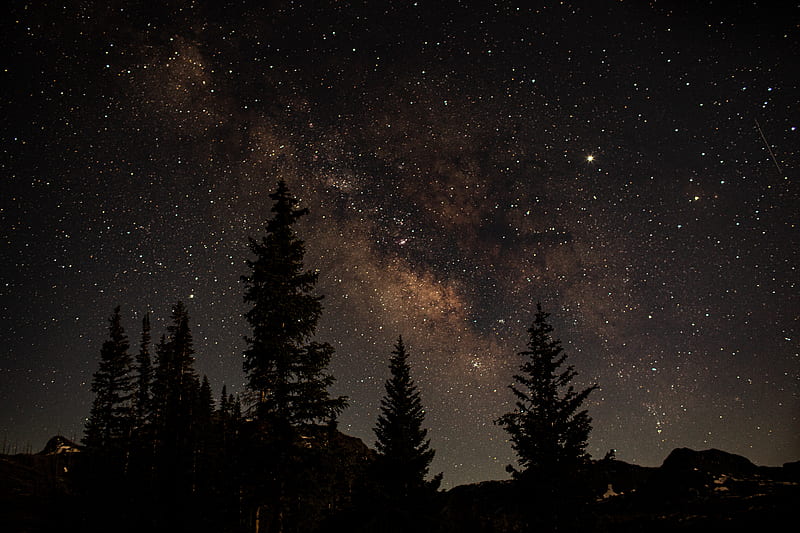 starry sky, trees, dark, night, nature, HD wallpaper