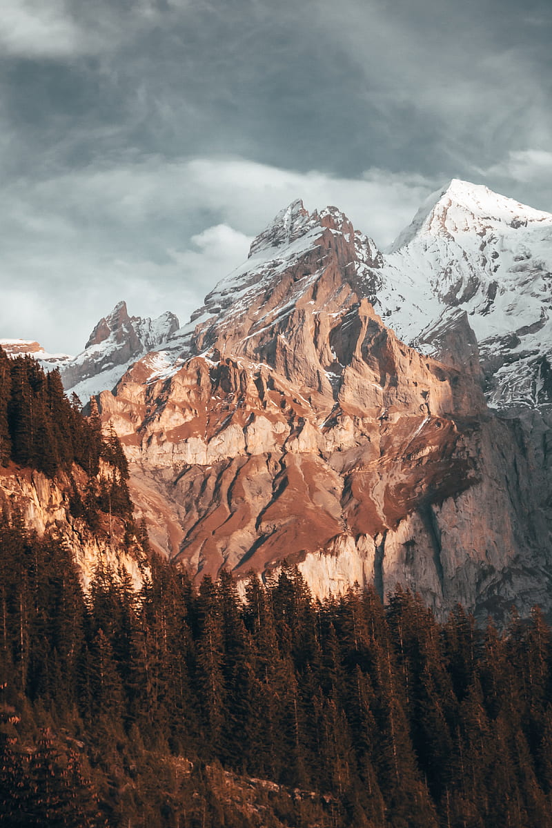 mountain, peak, snow, trees, nature, HD phone wallpaper
