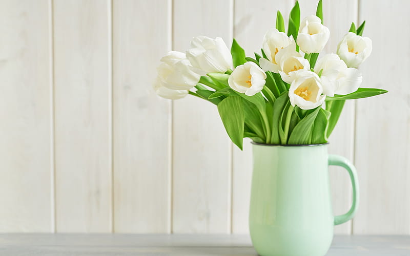 white tulips, vase, bouquet of white tulips, spring bouquet, tulips, spring, HD wallpaper