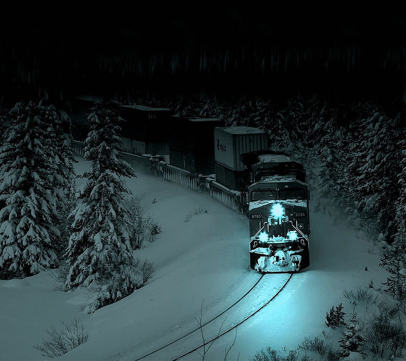 Train Night, forest, snow, wood, HD wallpaper