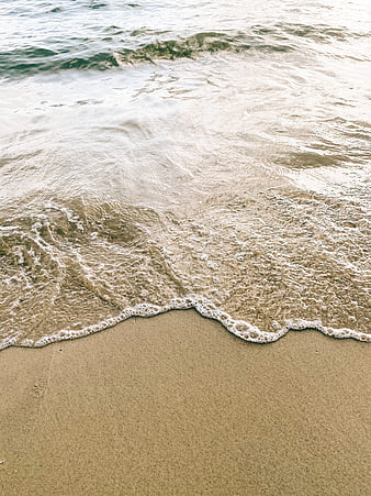 Pink Sands, pink tide, pink beach, pink shores, HD wallpaper | Peakpx