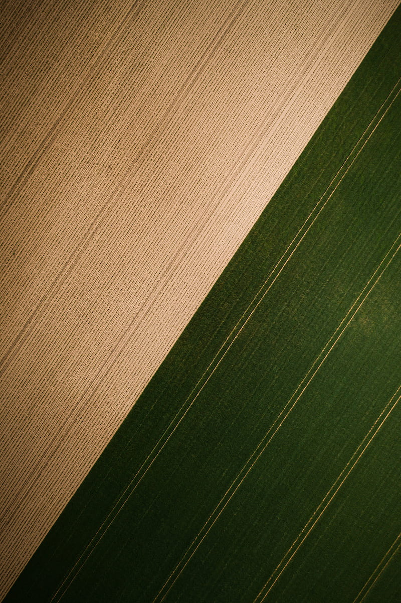 field, grass, stripes, aerial view, HD phone wallpaper