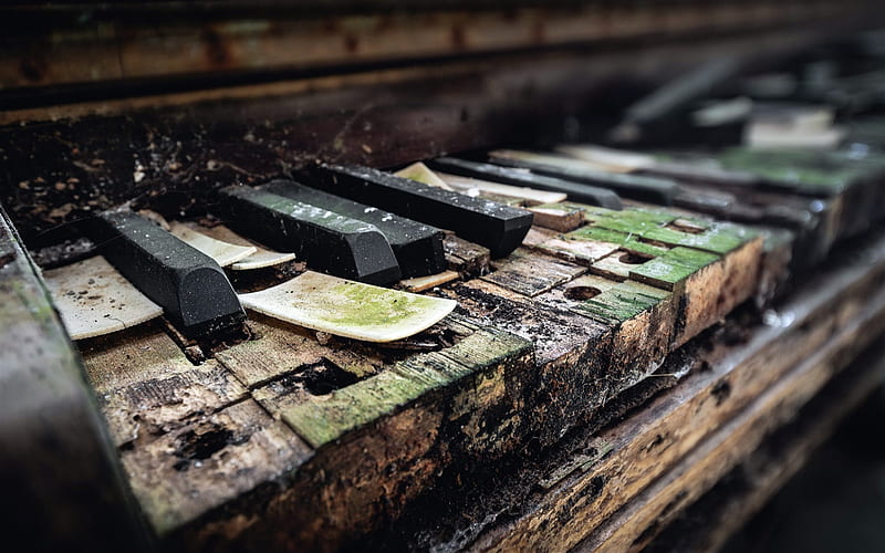 old piano keys, old piano, wooden piano keys, wood, moss, HD wallpaper