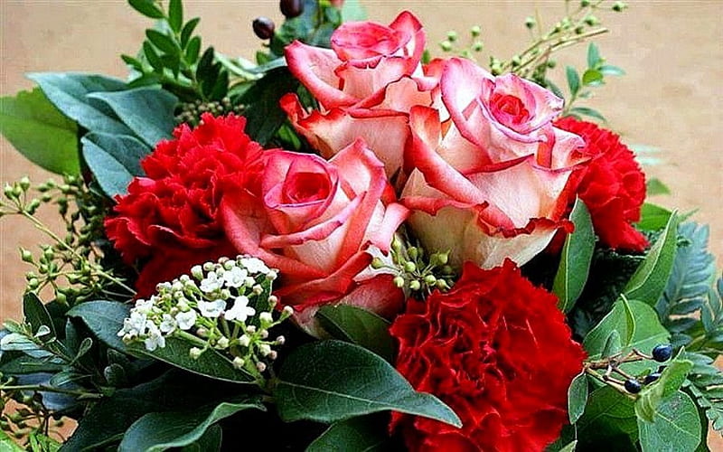 Carnations and roses bouquet, red, special, roses, gift, carnations, pinnk, bouquet, flowers, nature, HD wallpaper