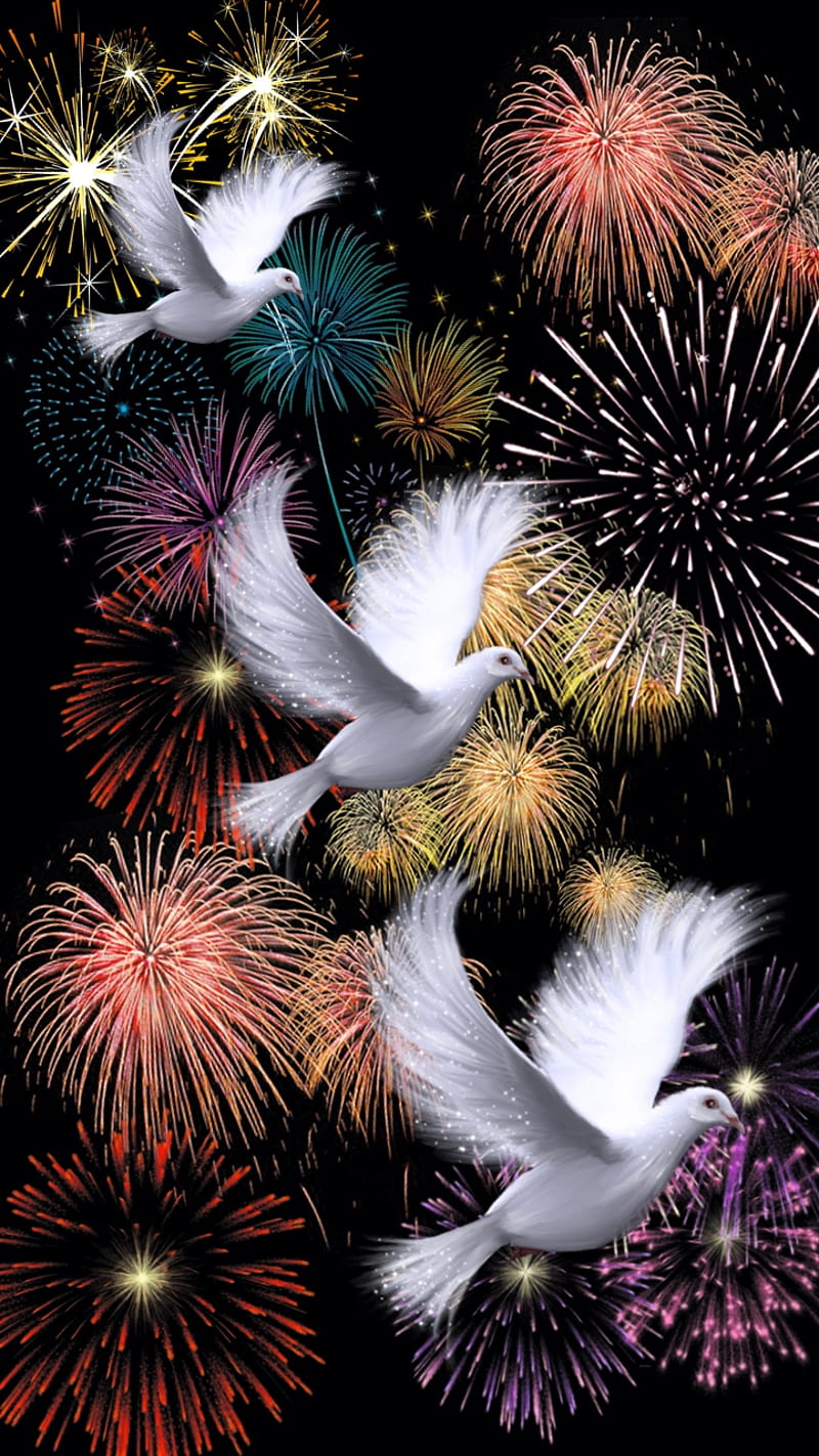 Festive Flight, abstract, background, black, dove, explosions, fireworks, white, HD phone wallpaper