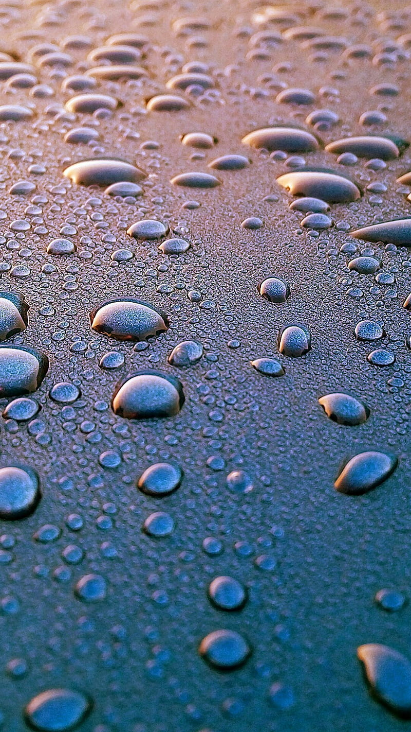 Drops dew, macro, rain, raindrops, water, waterdrops, wet, HD phone wallpaper