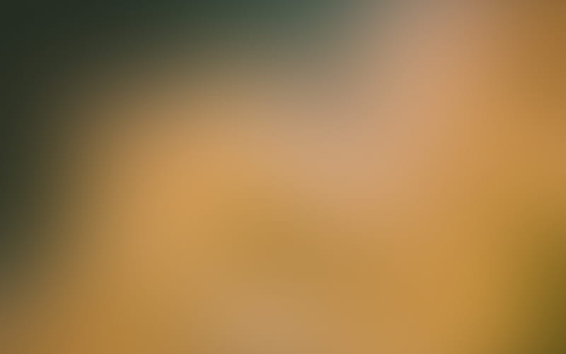 blur, gradation, yellow, HD wallpaper