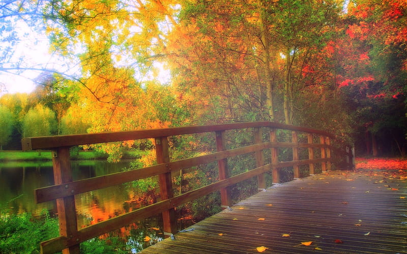 -PARK BRIDGE IN FALL-, architecture, fall, autumn, stunning, panoramic view, attractions in dreams, bonito, leaves, parks, walkway, landscapes, forests, rivers, parks bridges, bridges, colors, love four seasons, autumn beauty, creative pre-made, trees, views, nature, reflections, HD wallpaper