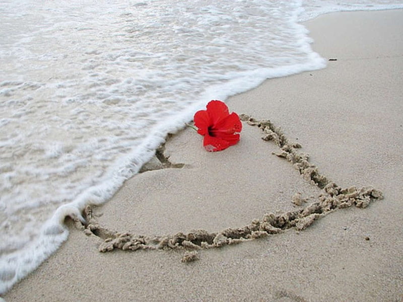 Lonely beach, Sand, beach, Heart, Flower, HD wallpaper
