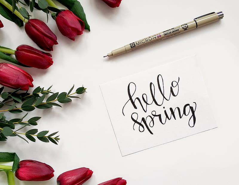 Hello Spring Handwritten Paper, HD wallpaper