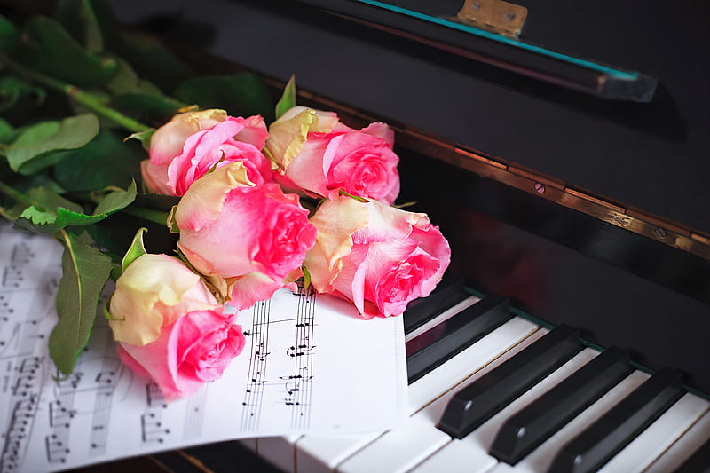 Piano with roses, notes, keys, bouquet, roses, beautiful, romance, fragrance, pink, music, piano, flowers, scent, romantic, HD wallpaper