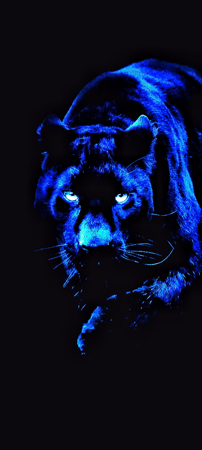 BLUE PANTHER, #animal lover#, #SAVE ANIMAL#, HD phone wallpaper