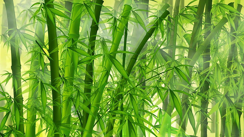 Bamboo Trees Leaves With Fog Background Bamboo, HD wallpaper