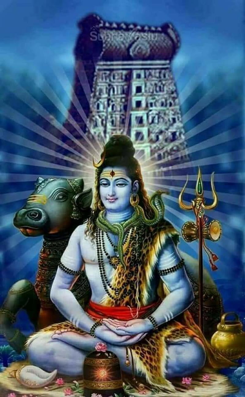 Lord Shiva, hindu god, HD phone wallpaper | Peakpx