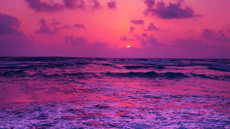Horizon Pink Sunset Near Sea, HD wallpaper