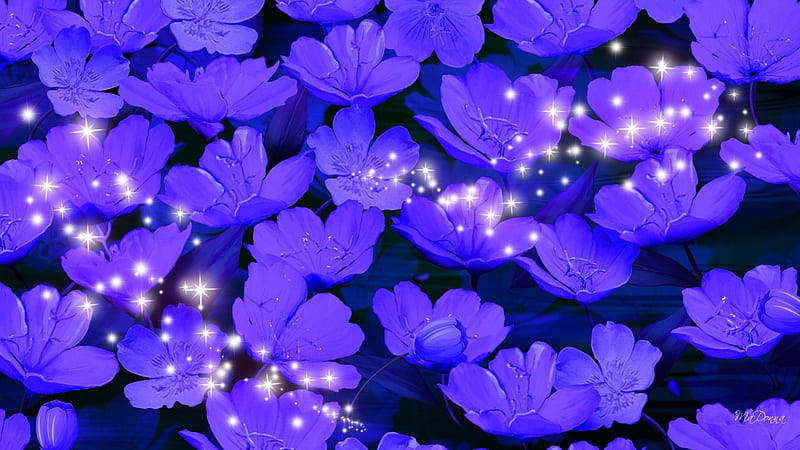 Purple Lilies and Stars, stars, fragrant, glitter, shine, lilies, spring,  lavender, HD wallpaper | Peakpx
