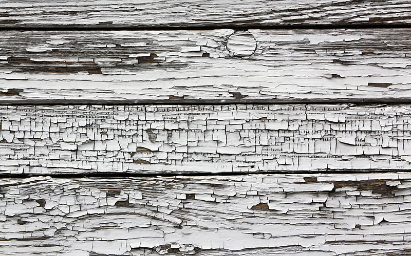 white wood boards macro, white wooden texture, wooden lines, white wooden backgrounds, wooden textures, horizontal wooden boards, wooden logs, white backgrounds, HD wallpaper