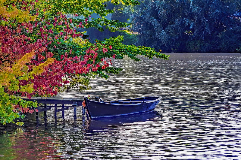 Wooden boat in river, boat, autumn, serenity, park, river, branches, wooden, lake, bonito, HD wallpaper