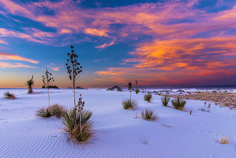 131068 White Sands 8K New Mexico Sunrise 4K  Rare Gallery HD Wallpapers