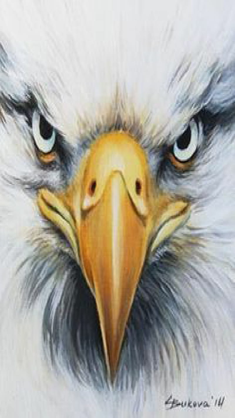 Pssst, águila, guerrero, luchador, patriota, patriótico, rojo blanco y  azul, Fondo de pantalla de teléfono HD | Peakpx