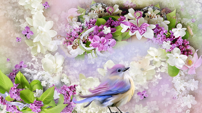 Lilac Lovely, bird, summer, plumeria, spring, lavender, dainty, lilacs, Firefox Persona theme, HD wallpaper