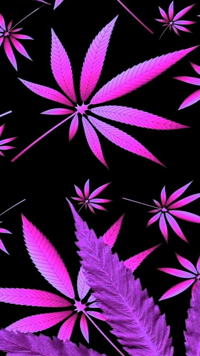Purple Pot, 420, Abstract, Avant-Garde, Earth, Flower, Hippy, Marijuana, Nature, Neon, Plant, HD phone wallpaper