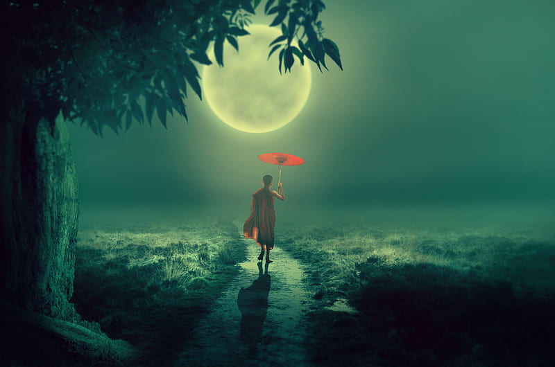 moonlight, monk, field, umbrella, walking, path, tree, Fantasy, HD wallpaper