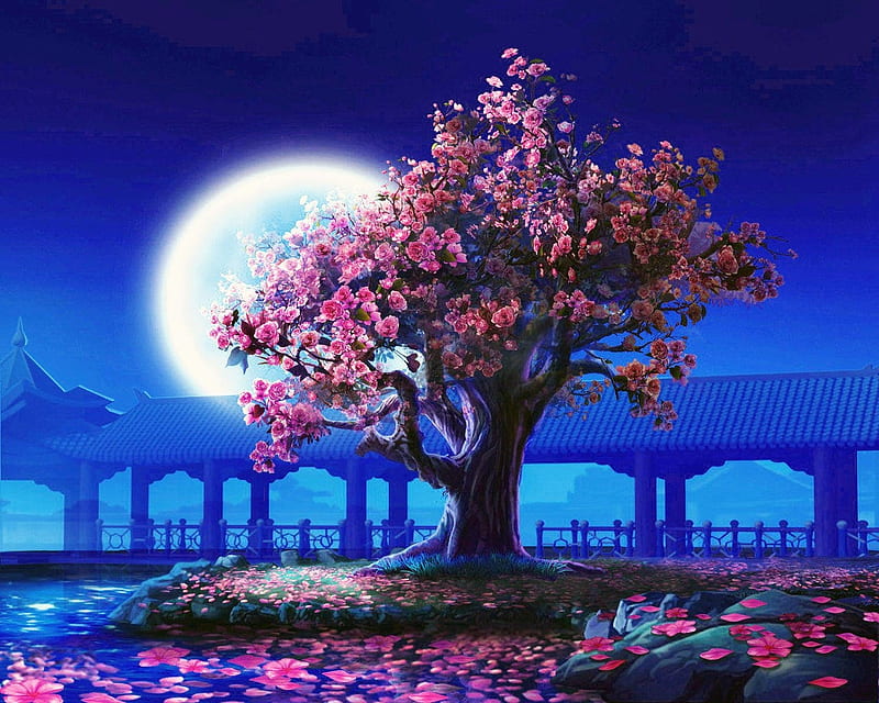 Full Bloom by Moonlight, tree, moon, lunar, flower, roses, night, HD wallpaper