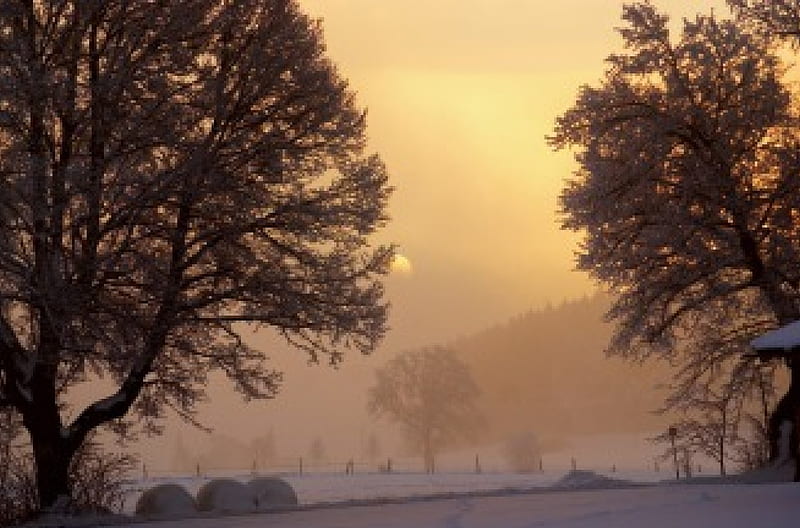 winter dawn on a farm, farm, fields, sunrise, trees, fog, HD wallpaper