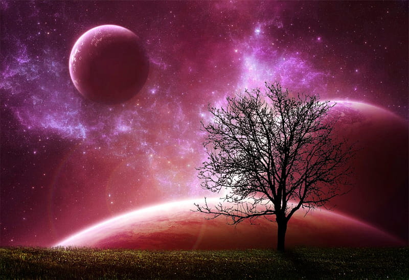 PINK MOONS, stars, moons, planets, grass, space, sky, tree, land, pink, HD wallpaper