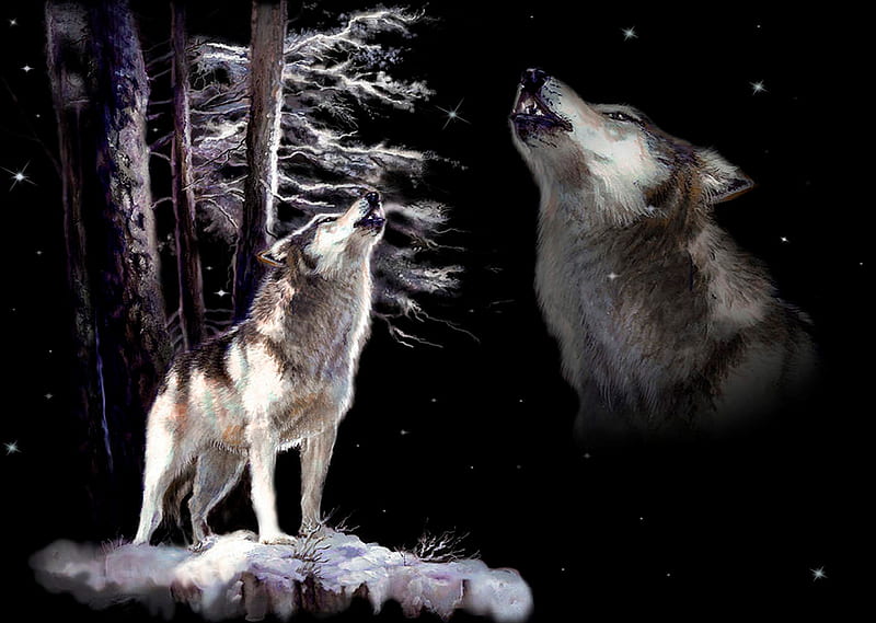 Wolf howling memory, predator, howl, tree, night, HD wallpaper
