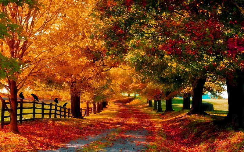 Autumn Breezes, autumn, nature, park, trees, HD wallpaper | Peakpx