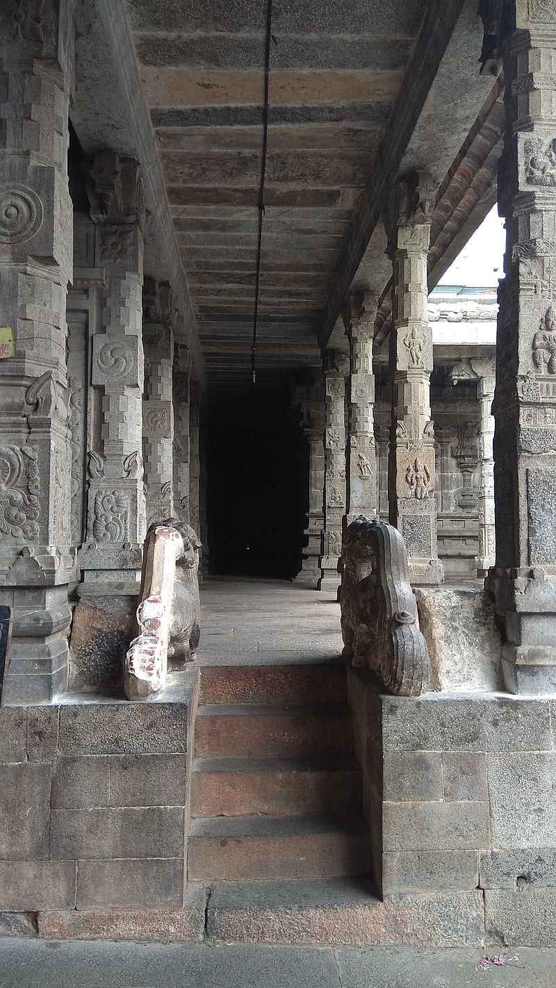 Spiritual search , temple, shiva, tamilnadu, background, HD phone wallpaper