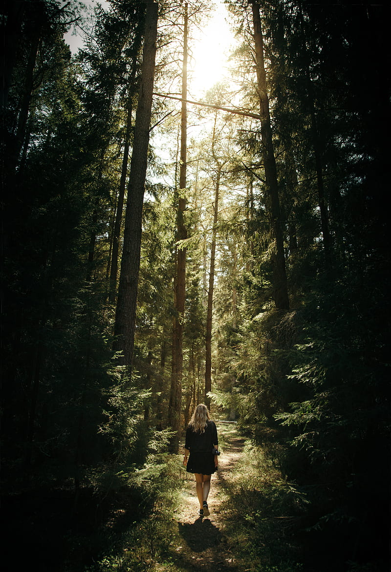woman walking in the forest, HD phone wallpaper