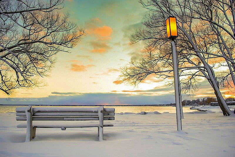 Winter Scape at Lake Huron, bench, lantern, trees, snow, sky, HD wallpaper