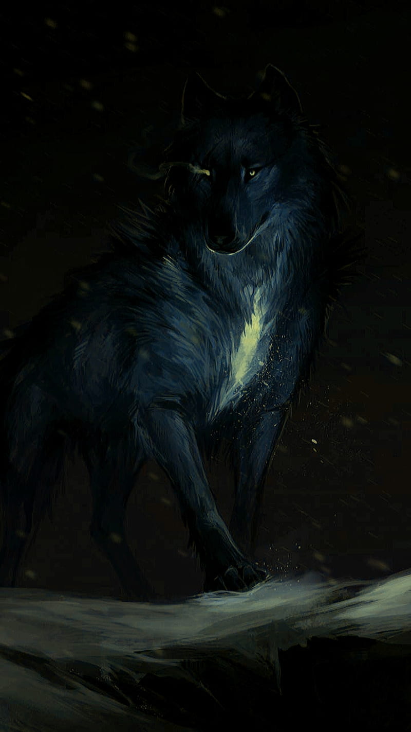 Wolf, black, HD phone wallpaper
